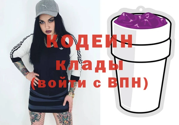 МДПВ Протвино